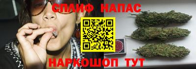 spice Балаково