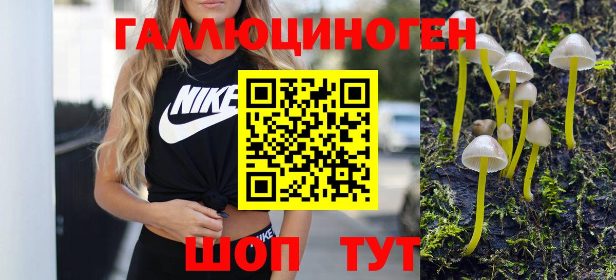 Галлюциногенные грибы мицелий Шатура